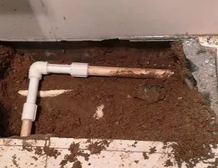 岷县测漏水哪家好