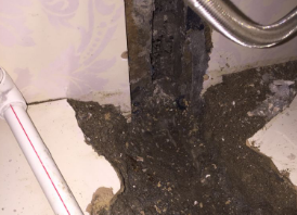 岷县卫生间测漏水哪家好