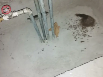 岷县卫生间测漏水价格明细