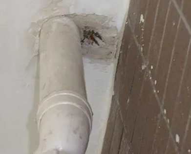 岷县漏水检测哪家好